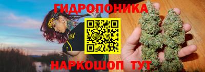альфа пвп Кимры