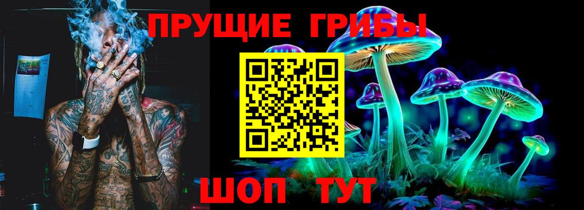 Псилоцибиновые грибы Cubensis Кохма