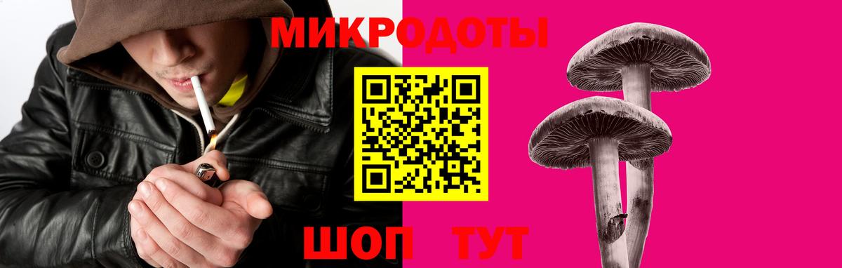 Галлюциногенные грибы GOLDEN TEACHER  Вход с VPN  Кохма 